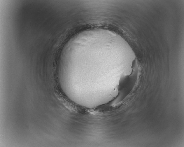 X0000068830961200606021639