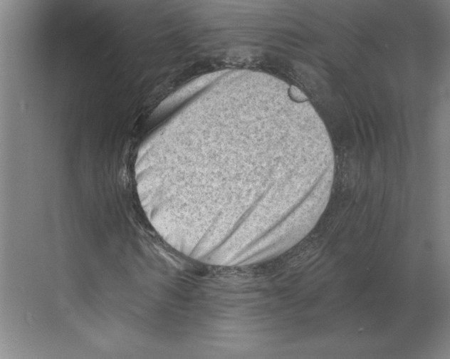 X0000068830962200606021639