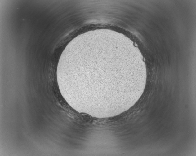 X0000068830967200606021638