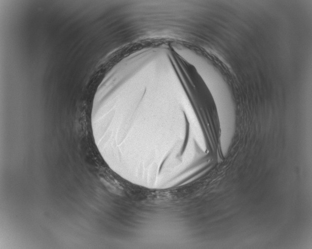 X0000068830968200606021638