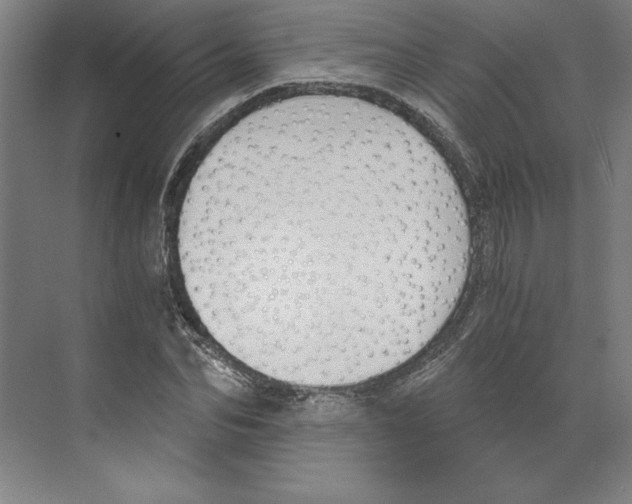 X0000068830974200606021638