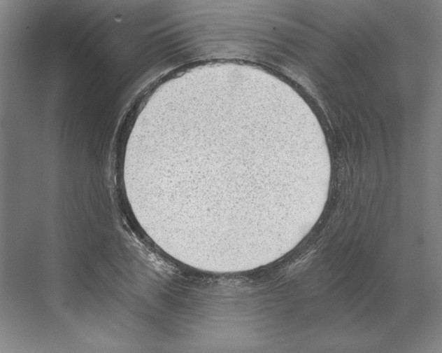 X0000068830979200606021638