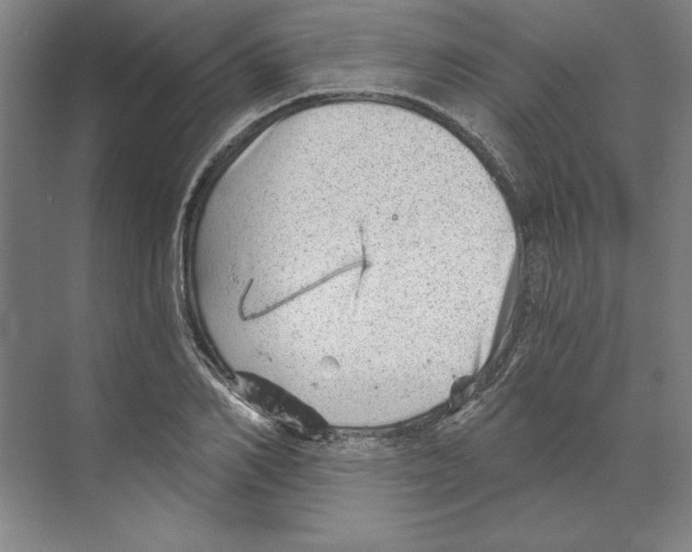 X0000068830982200606021638