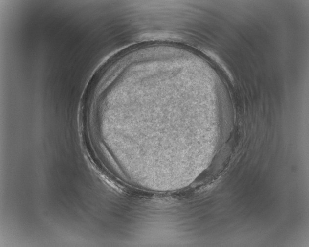 X0000068830983200606021638