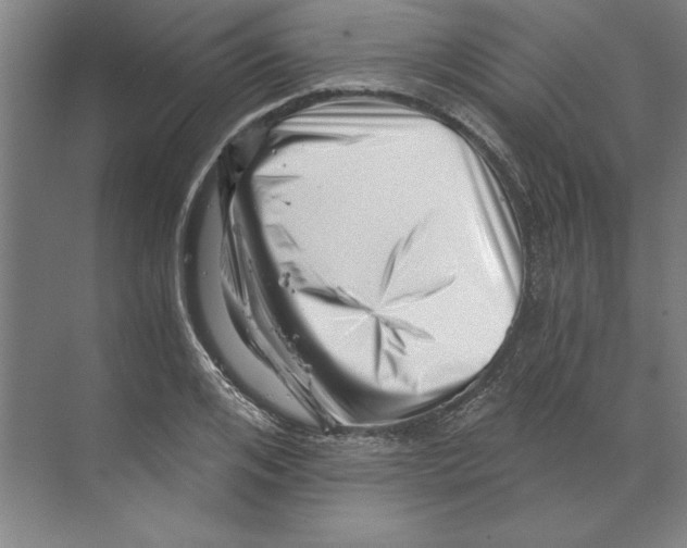 X0000068830984200606021638