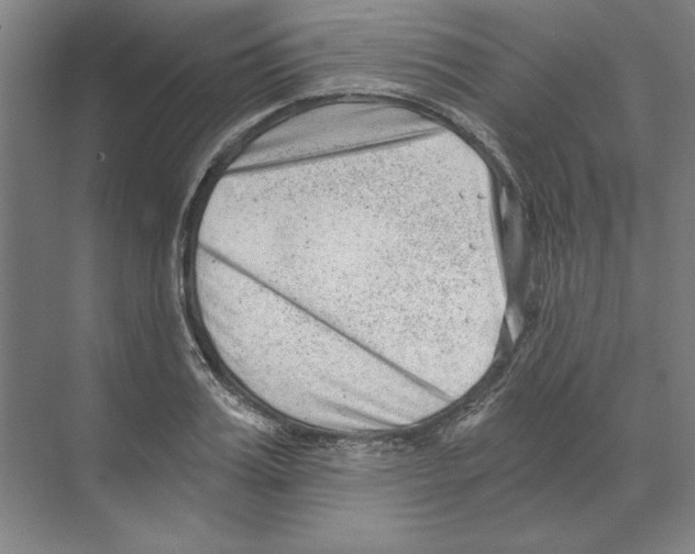 X0000068830987200606021638