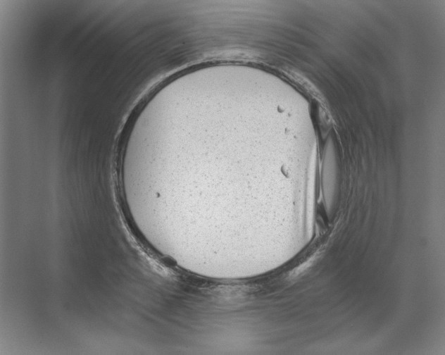 X0000068830989200606021638