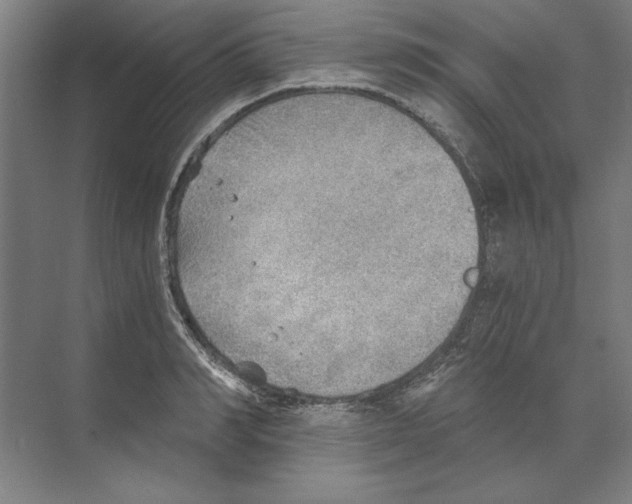 X0000068830990200606021638