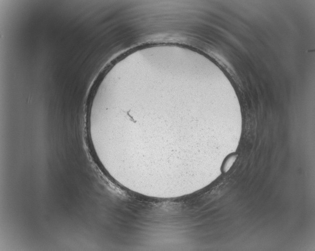 X0000068830992200606021638