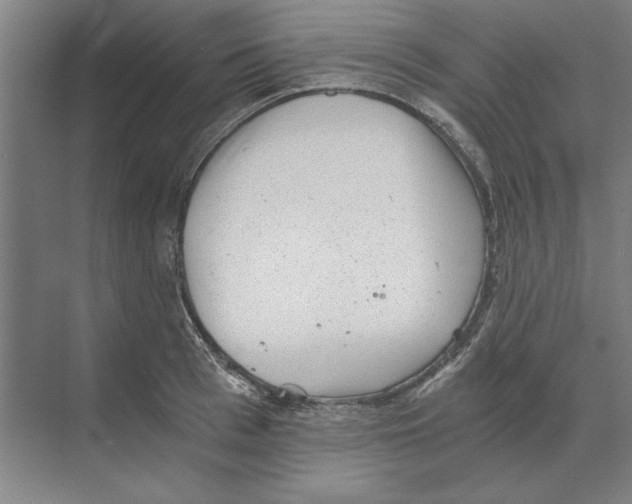 X0000068830993200606021638