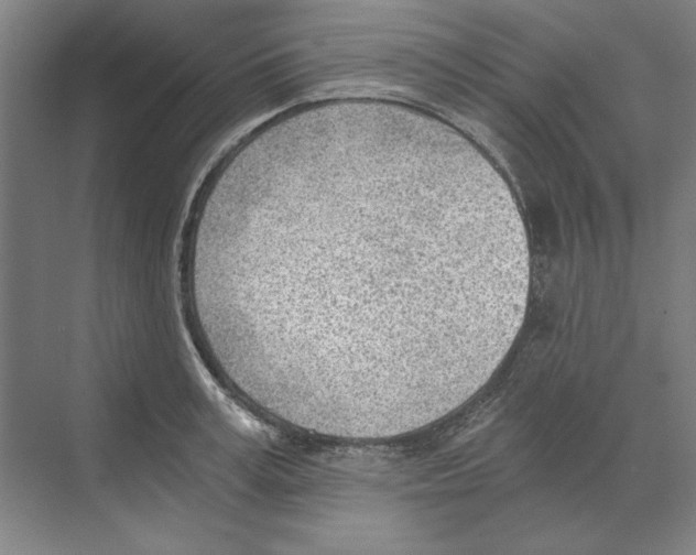 X0000068830995200606021638