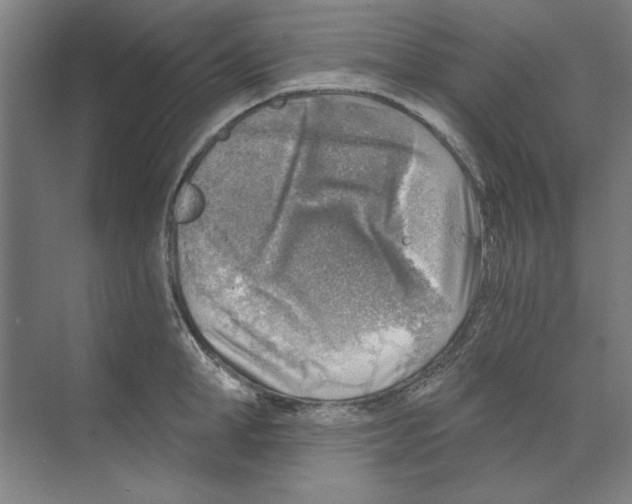 X0000068830998200606021638