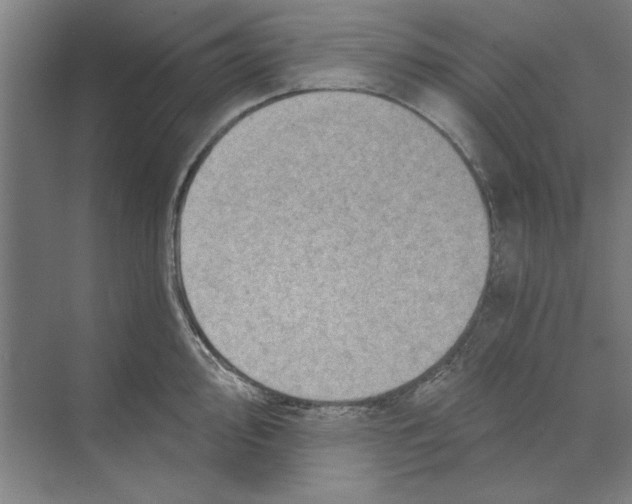 X0000068831000200606021638