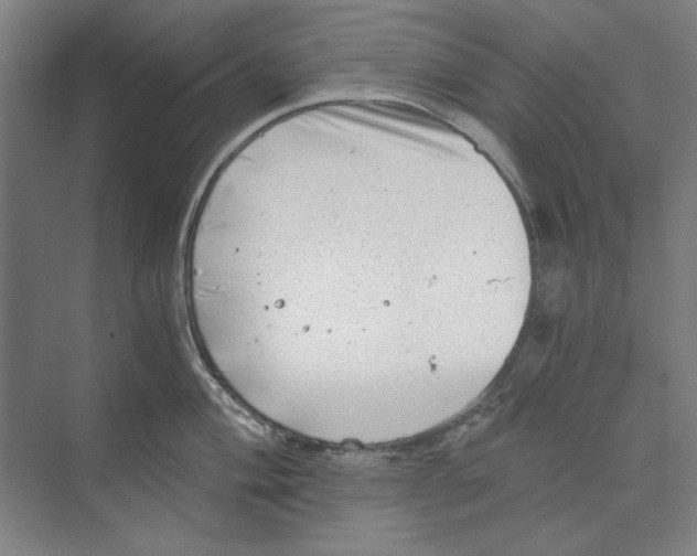 X0000068831004200606021638