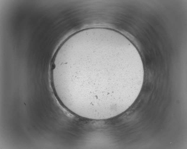 X0000068831006200606021638