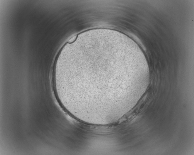 X0000068831007200606021638