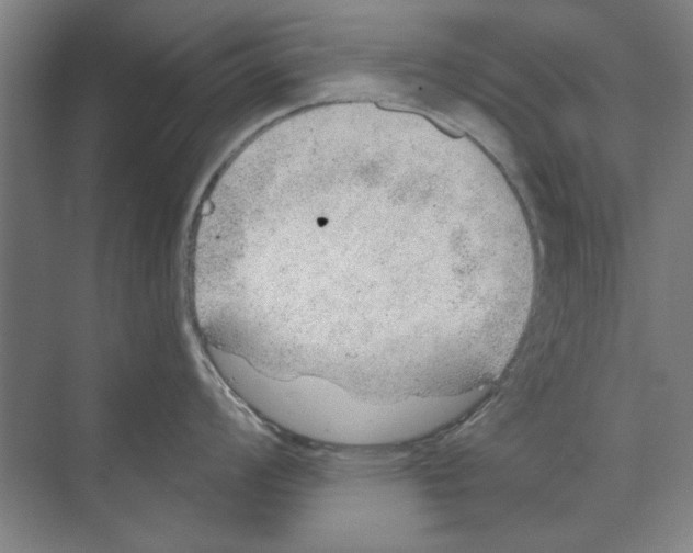 X0000068831008200606021638