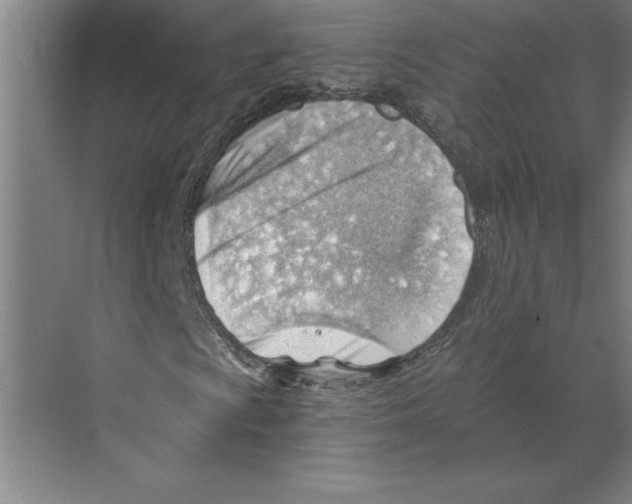 X0000068831009200606021637