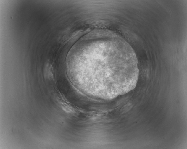 X0000068831010200606021637