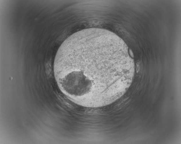 X0000068831011200606021637