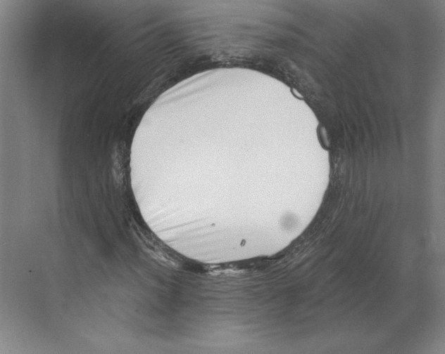 X0000068831012200606021637