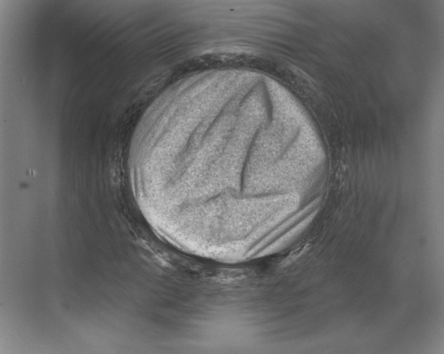 X0000068831014200606021637