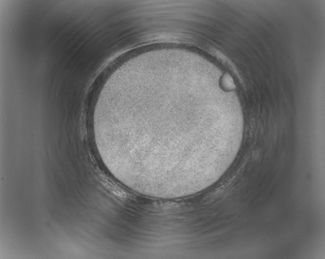 X0000068831019200606021637