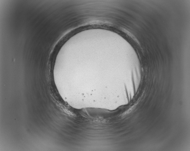 X0000068831021200606021637