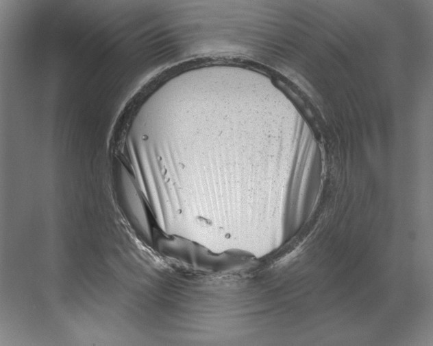 X0000068831022200606021637