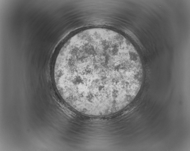 X0000068831023200606021637