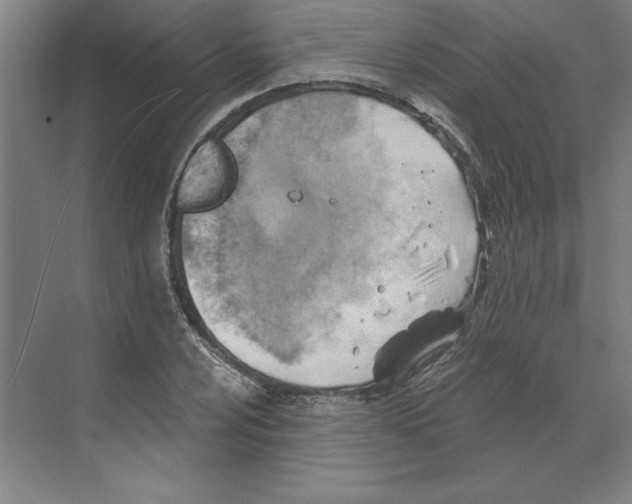 X0000068831024200606021637