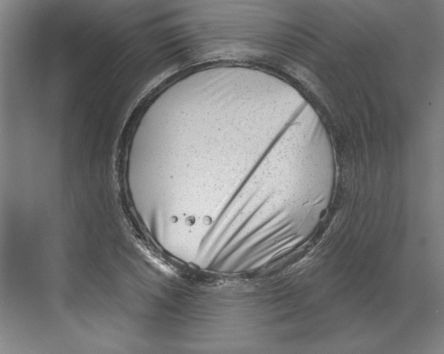 X0000068831026200606021637