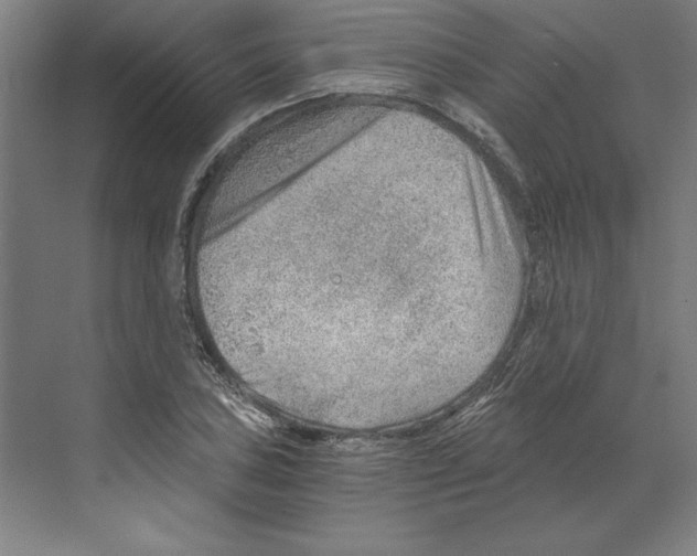 X0000068831027200606021637