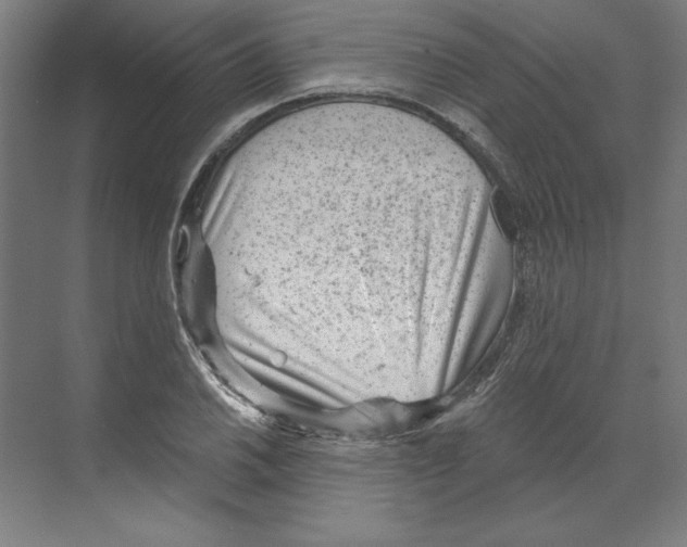 X0000068831030200606021637