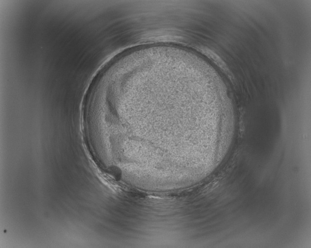 X0000068831031200606021637