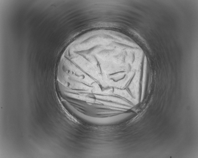 X0000068831033200606021637