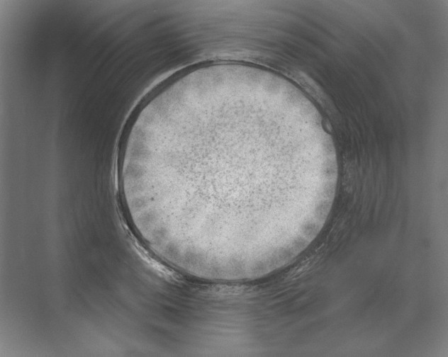 X0000068831036200606021637