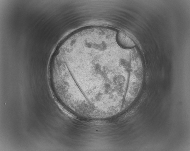 X0000068831037200606021637