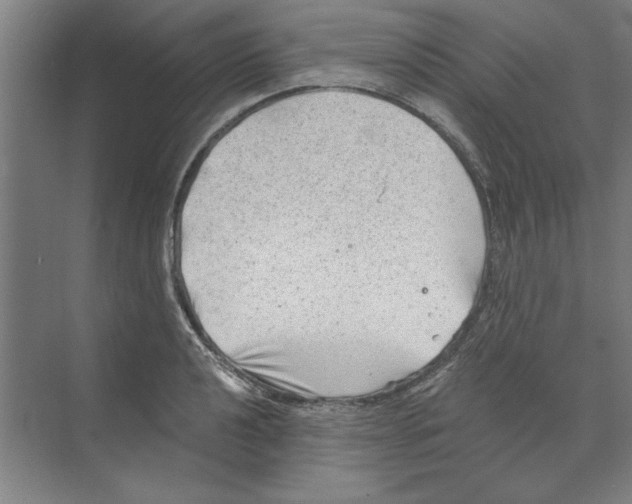 X0000068831040200606021637