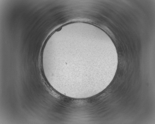 X0000068831044200606021638