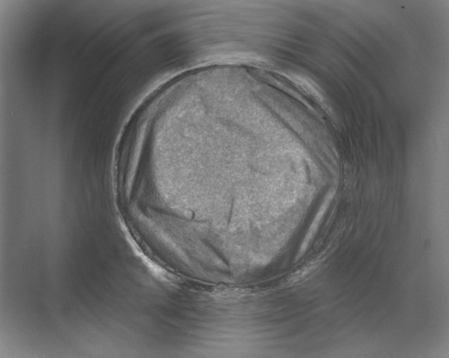 X0000068831046200606021638