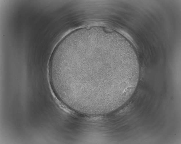 X0000068831047200606021638