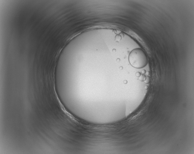 X0000068831049200606021638