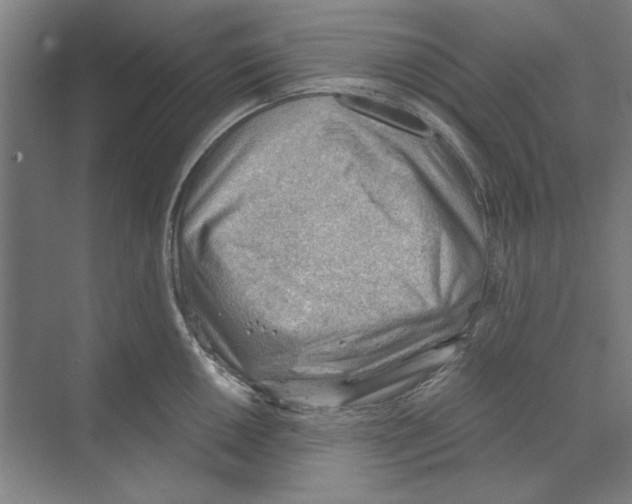 X0000068831050200606021638