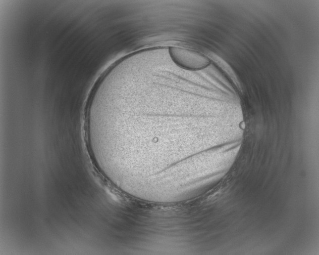 X0000068831051200606021638