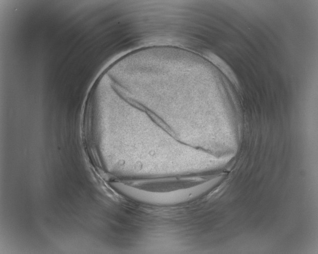 X0000068831052200606021638