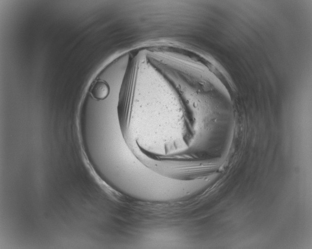 X0000068831054200606021638