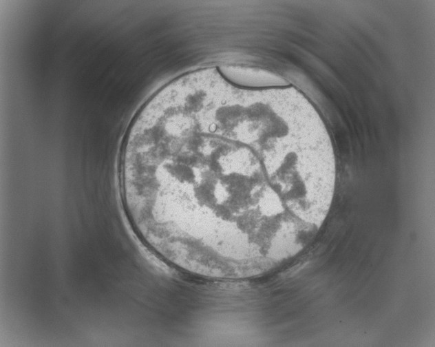 X0000068831055200606021638