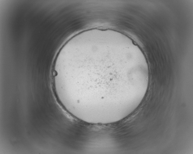 X0000068831056200606021638