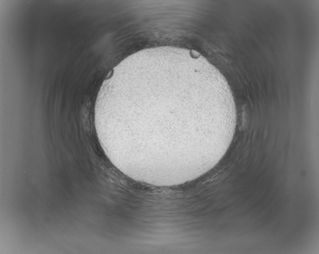 X0000068831059200606021637